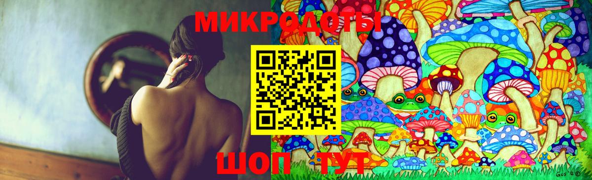 Галлюциногенные грибы мицелий  наркотики  Аргун  Вход с VPN  Псилоцибиновые грибы GOLDEN TEACHER 