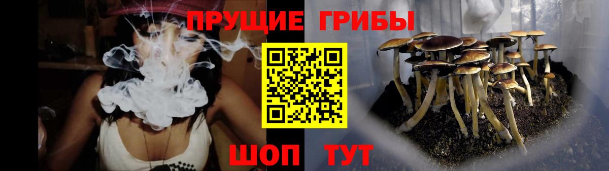 Псилоцибиновые грибы GOLDEN TEACHER Аргун